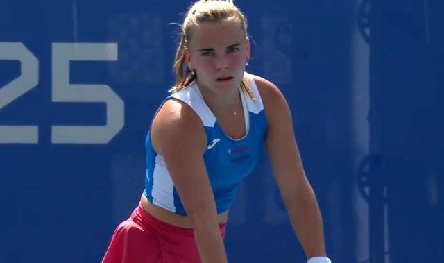 关于莎拉波娃新星比赛局势复杂表现突出，公牛前途光明！的信息